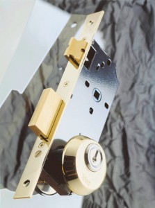 Security escutcheon installed on lock with screws passing through DIN holes.